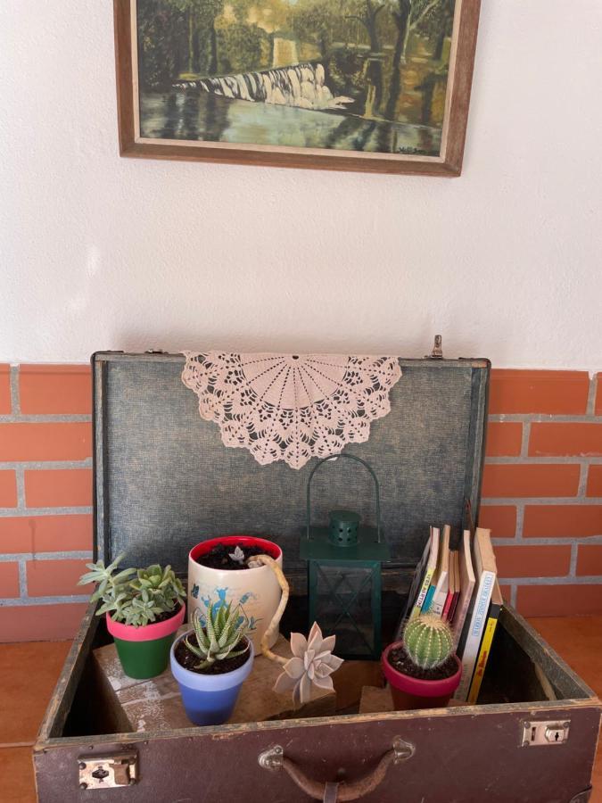 Del Rey Guest House Tomar Bagian luar foto